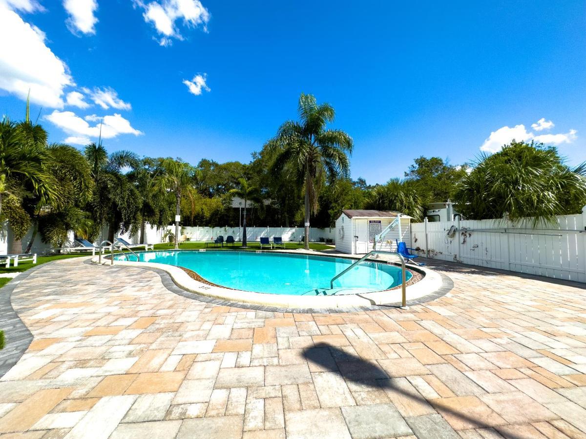 1k Bed With Shared Pool 02 Apartment Clearwater
